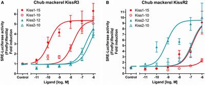 The Roles of Kisspeptin System in the Reproductive Physiology of Fish With Special Reference to Chub Mackerel Studies as Main Axis